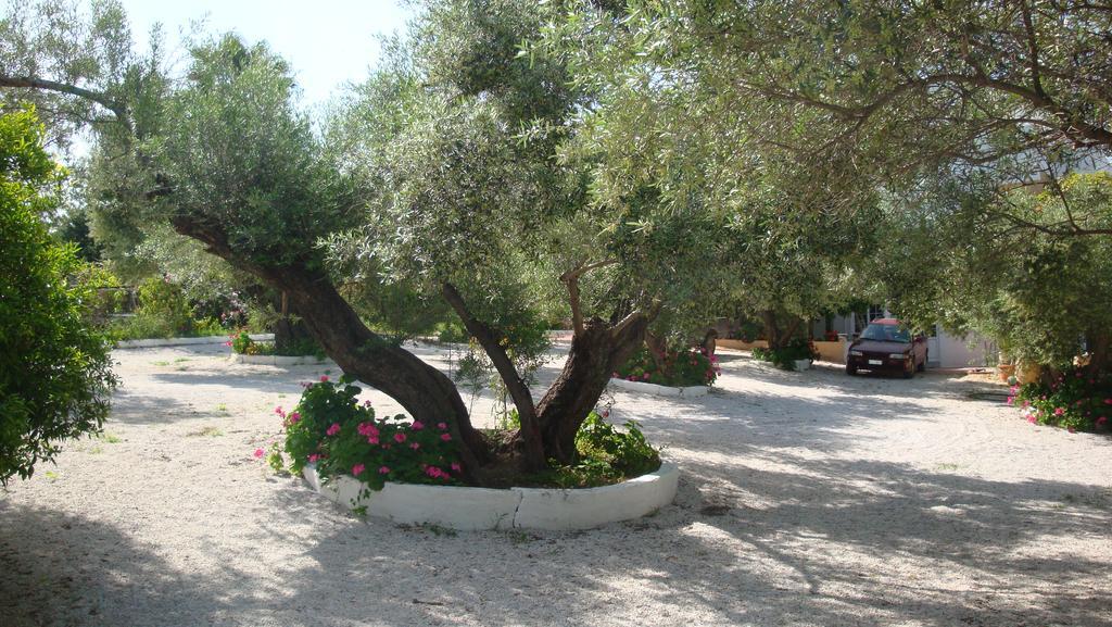 Calamon Apartments Episkopi  Bagian luar foto