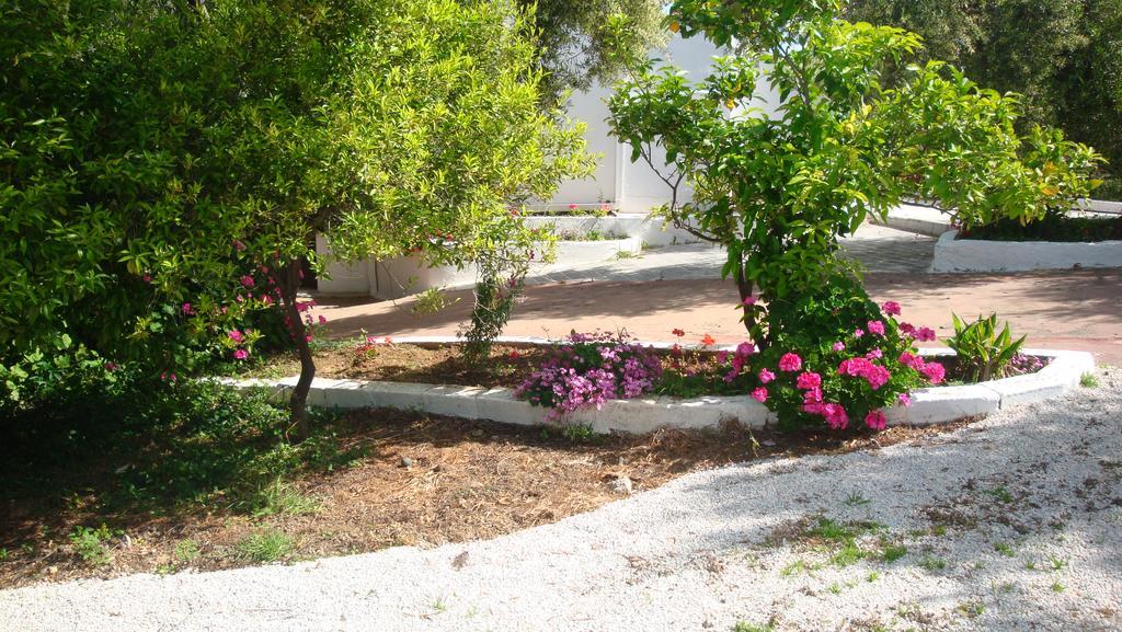 Calamon Apartments Episkopi  Bagian luar foto