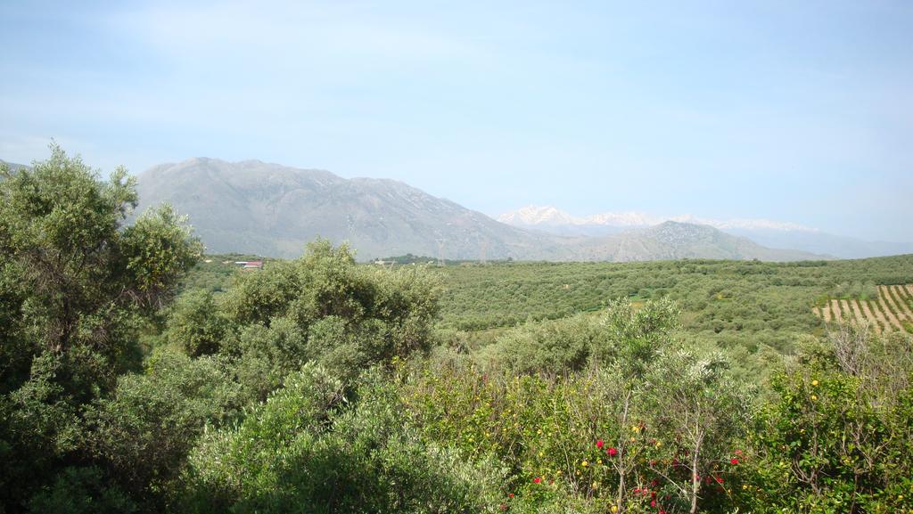 Calamon Apartments Episkopi  Bagian luar foto