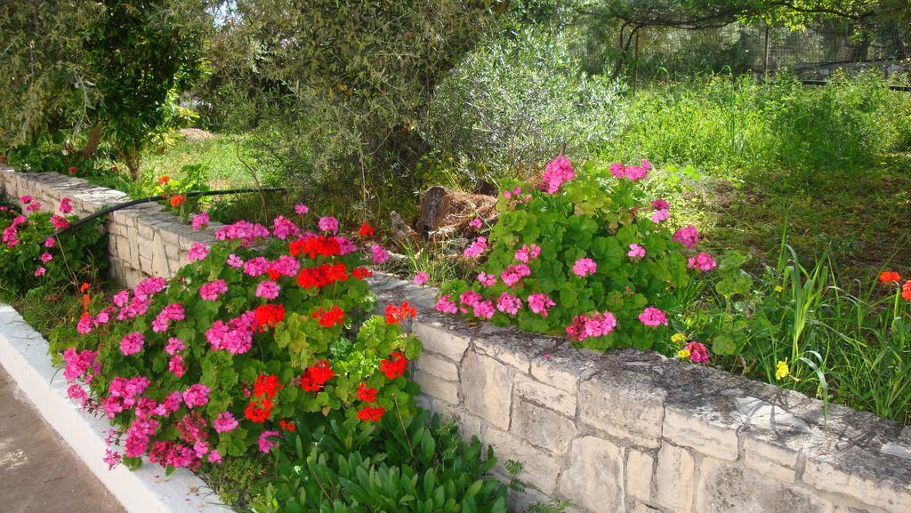 Calamon Apartments Episkopi  Bagian luar foto