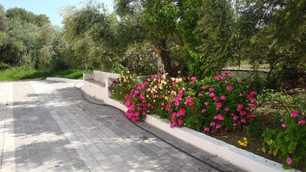 Calamon Apartments Episkopi  Bagian luar foto