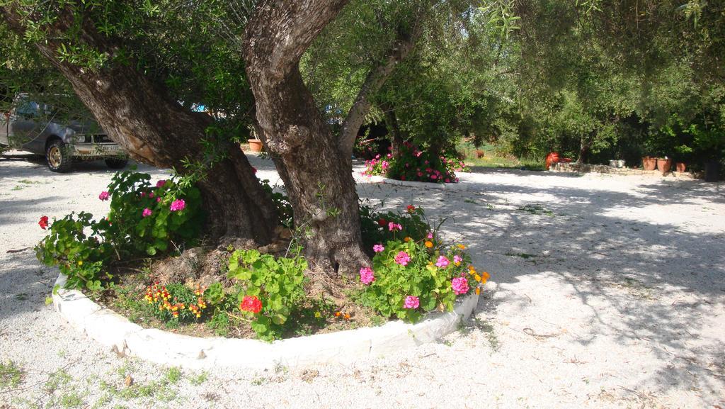 Calamon Apartments Episkopi  Bagian luar foto