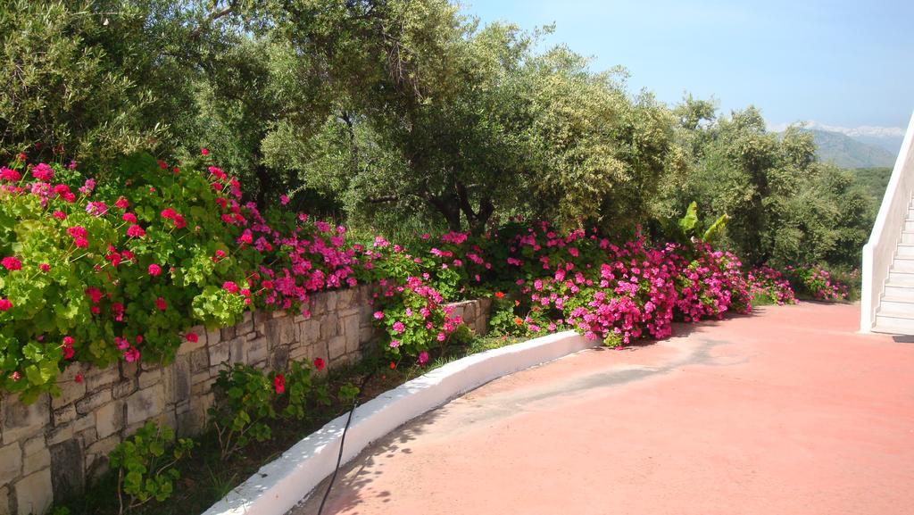 Calamon Apartments Episkopi  Bagian luar foto